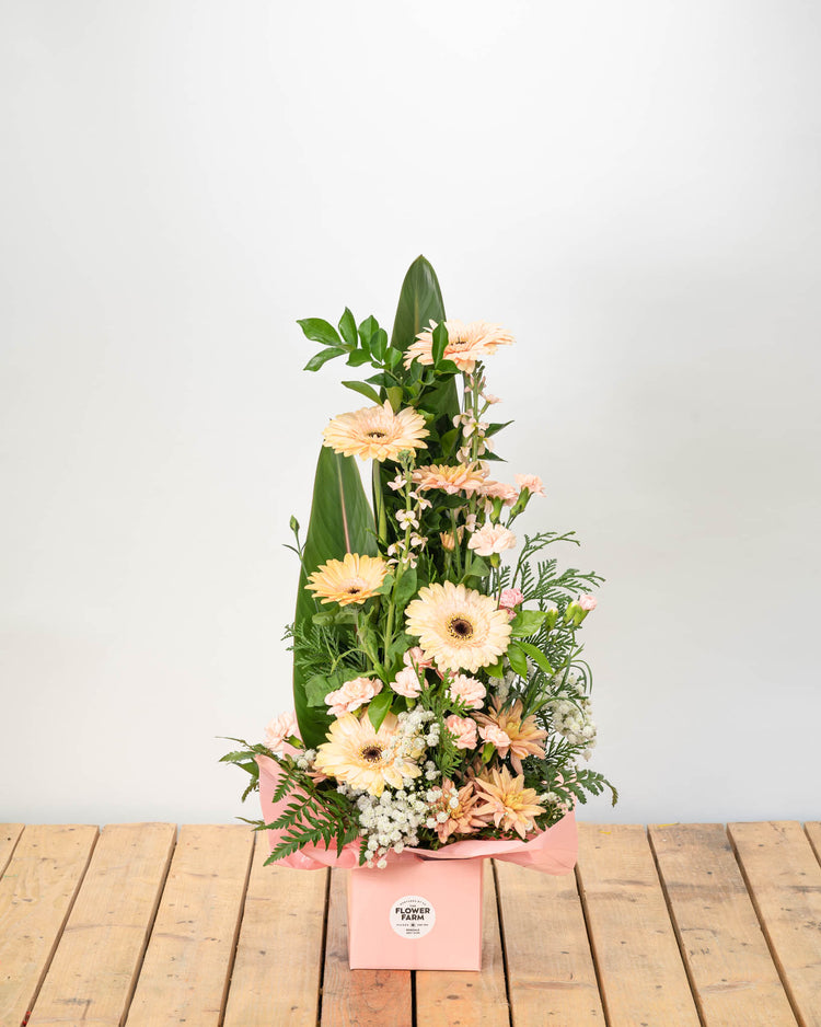 Celebrate in style with this &