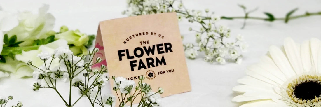 The Flower Farm Story