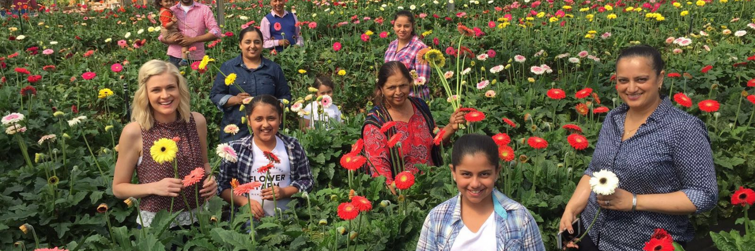 Totally Wild Visits The Flower Farm The Flower Farm