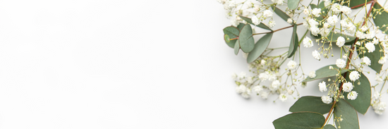 baby's breath and gum leaves to the right of the screen with an all white background