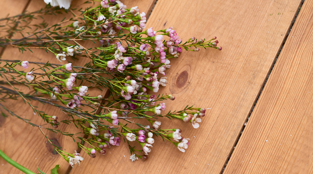 image of a spray of Australian native purple and white flowers on a wooden floor
