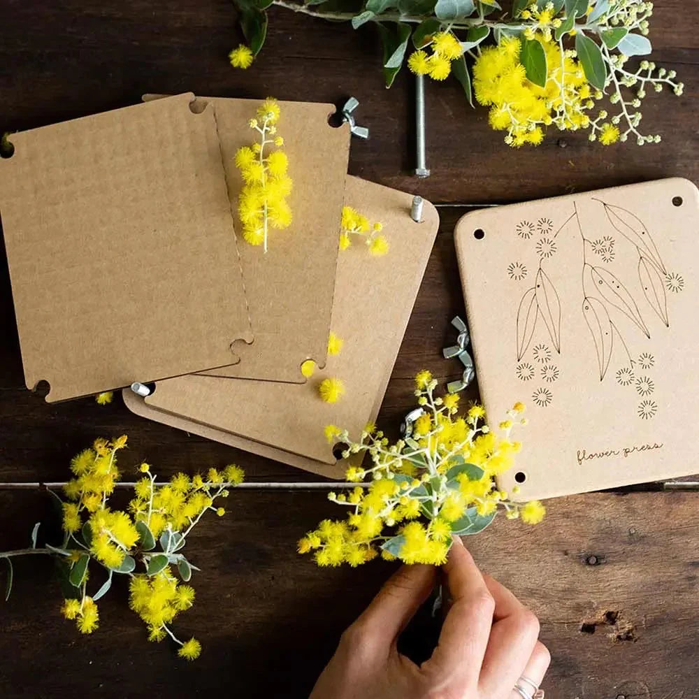 person pressing beautiful yellow blooms as some of the best flowers for flower pressing with the sow n sow flower press