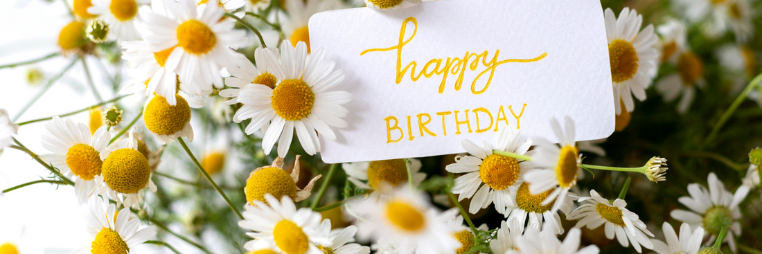 wild bunch of white and yellow daisies with a white card with yellow writing that says happy birthday