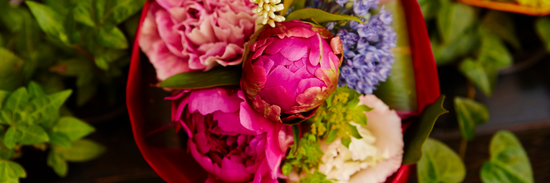 close up of purple and bright pink blooms wrapped in red paper against a green background
