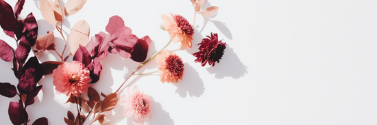 image of dried blooms in purples, pinks and blushes arranged on the left hand side of a white background