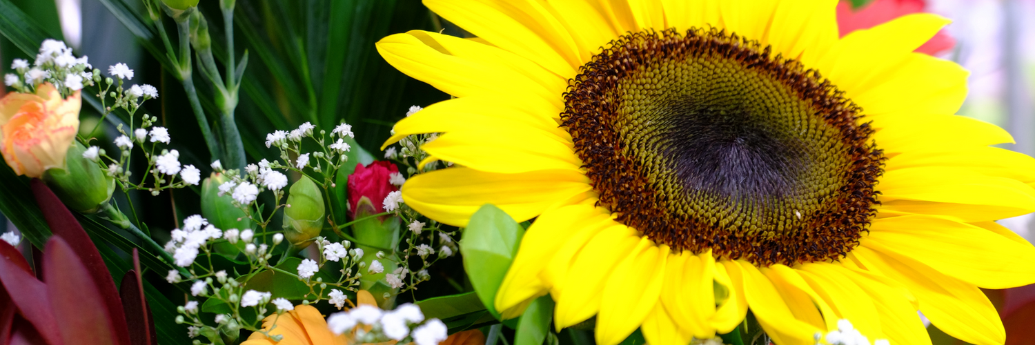 Getting fresh flowers delivered in Brisbane? Count on us. The Flower Farm