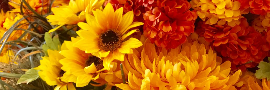 close up of brightly hued gerberas and chrysanthemums in yellows and oranges for fall flower farm preview