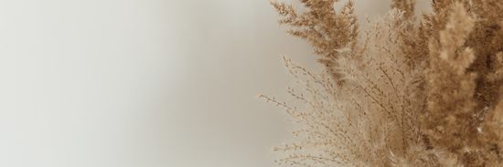 image of neutral background with dried flowers on the right hand side for how to press flowers