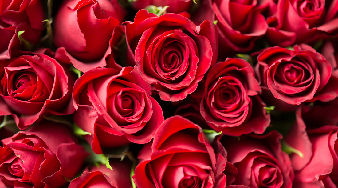 The 5 Most Romantic Valentine’s Day Flowers - Buy Local