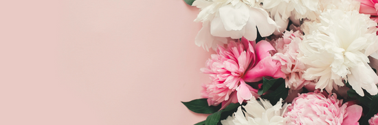 image of pink and white chrysanthemums on the right hand side of a pastel pink background for unique mothers day gifts and flowers