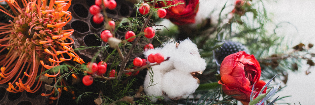 Image of winter flowers brisbane with red berries, cotton and red and orange hued flowers