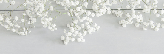 white small winter flowers on tiny branches arranged on a grey background