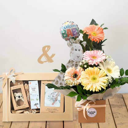 Welcome Baby Arrangement and Gift Package