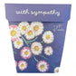 Gift Cards - Seeds