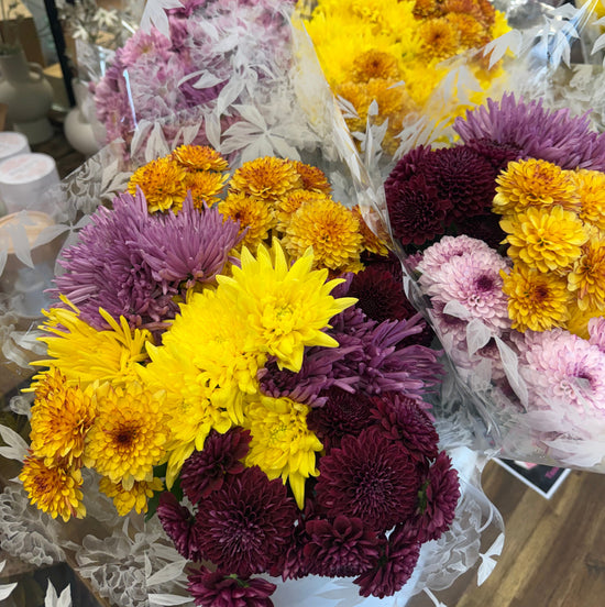 Fresh Glasshouse-Grown Chrysanthemum Bunch