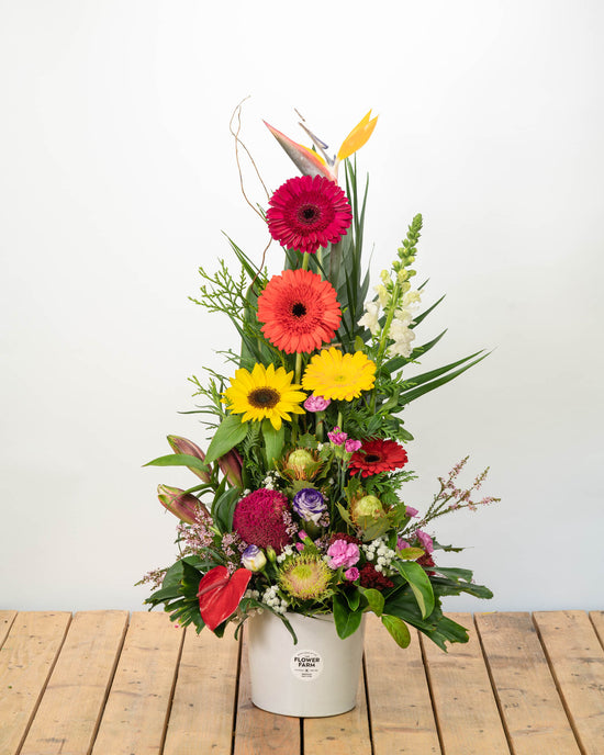 Show someone how much you care with our signature bright arrangement. We use the best and brightest of our flowers on the farm to create an arrangement that oozes personality and is unique to each customer that purchases it.   Our images are for illustrative purposes only as Flowers & Colours will vary daily.
