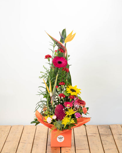 Seasonal Arrangement - Florist Choice