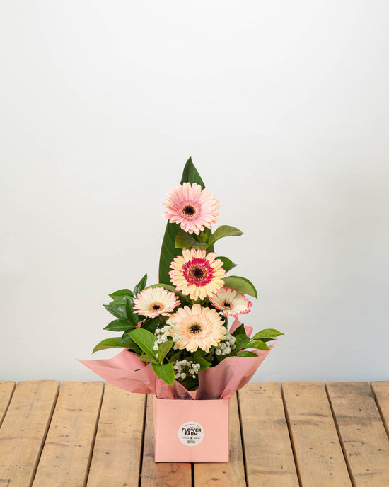 Gerbera Arrangement (Unavailable 9th-13th May)