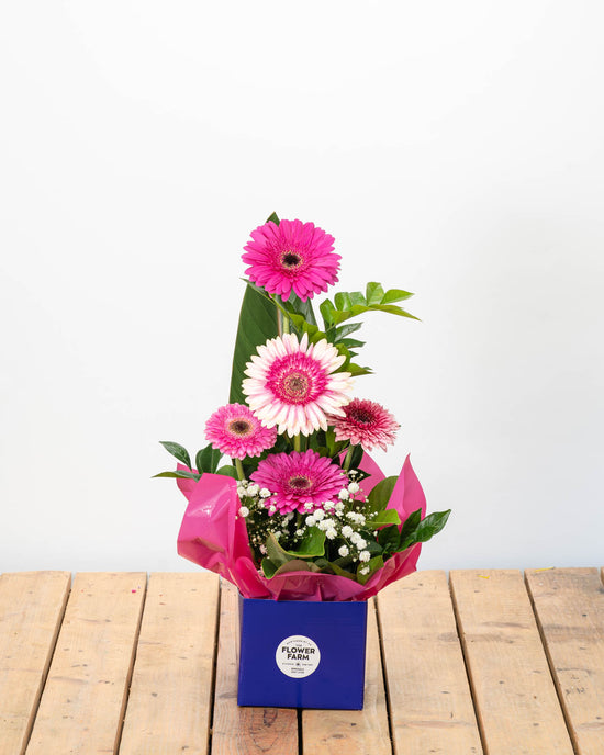 Gerbera Arrangement